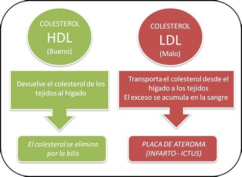colesterol hdl y ldl diferencia